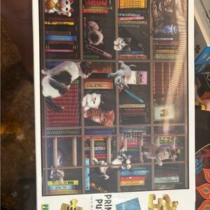 Cat Puzzle with Bookshelf Design